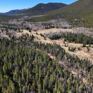 7.78 acres in Fort Garland, CO (Costilla County) - APN 70123020 & 70123010 (photo 4)