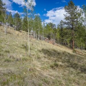 1.25 acres in Cripple Creek, CO (Teller County) - APN R0008984