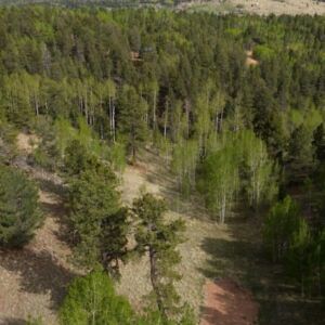 1.25 acres in Cripple Creek, CO (Teller County) - APN R0008984 (photo 10)
