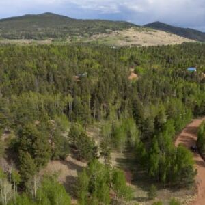 1.25 acres in Cripple Creek, CO (Teller County) - APN R0008984 (photo 11)