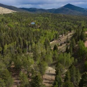 1.25 acres in Cripple Creek, CO (Teller County) - APN R0008984 (photo 12)