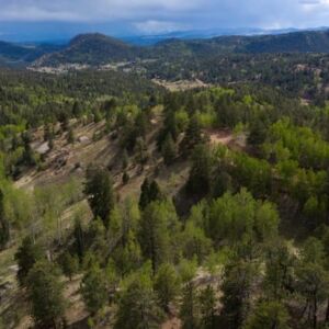 1.25 acres in Cripple Creek, CO (Teller County) - APN R0008984 (photo 13)