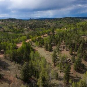 1.25 acres in Cripple Creek, CO (Teller County) - APN R0008984 (photo 16)