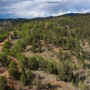 1.25 acres in Cripple Creek, CO (Teller County) - APN R0008984 (photo 17)