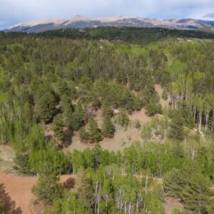 1.25 acres in Cripple Creek, CO (Teller County) - APN R0008984 (photo 19)