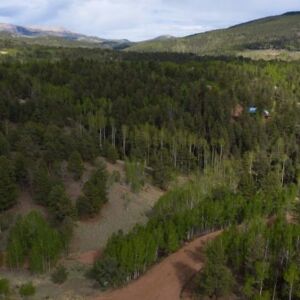 1.25 acres in Cripple Creek, CO (Teller County) - APN R0008984 (photo 21)