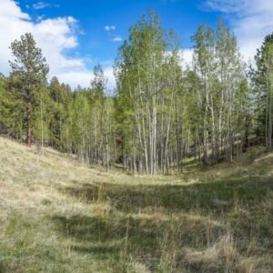 1.25 acres in Cripple Creek, CO (Teller County) - APN R0008984 (photo 4)