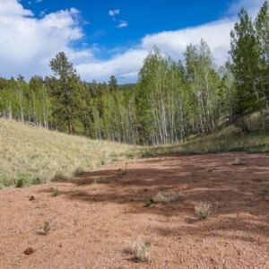1.25 acres in Cripple Creek, CO (Teller County) - APN R0008984 (photo 5)