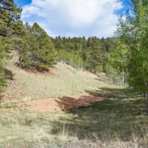 1.25 acres in Cripple Creek, CO (Teller County) - APN R0008984 (photo 6)