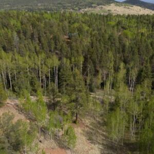 1.25 acres in Cripple Creek, CO (Teller County) - APN R0008984 (photo 9)