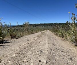 The dirt access road looking out toward the valley and the surrounding rural community, Klamath County, Oregon
