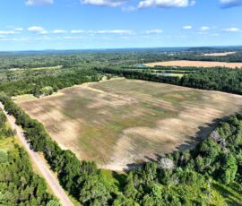 18.92-acre double lot for sale in Necedah, Juneau County, Wisconsin — aerial view of the property and surrounding countryside