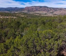 Aerial view of pine and juniper forest with large mountain mesa in the background near the Timberon, NM property (APN 11O4069113167045)