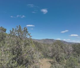 Low aerial view of pine and juniper scrubland with Sacramento Mountain ridgeline visible in the background, Timberon, NM (APN 11O4069113167045)