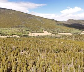 Aerial view of Forbes Park mountain valley with dense forest and Sangre de Cristo peaks, Costilla CO