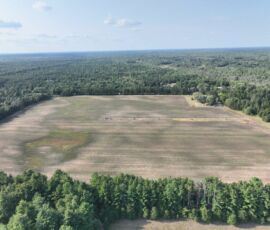 Overhead aerial of flat 9.45-acre field bounded by pine trees, Necedah, WI (LOT 2)