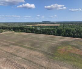 Drone view across level field with pine tree windbreak border and distant bluff, Necedah, WI (LOT 1)