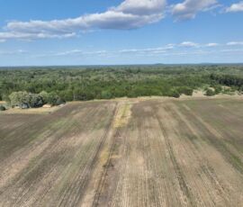 Low drone view of level cultivated field with farm equipment and pine tree border, Necedah, WI (LOT 2)