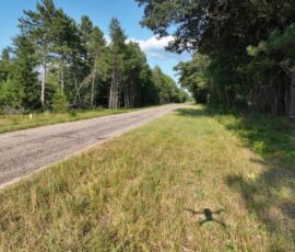 Sandy two-track trail through pine trees at property perimeter, Necedah, WI (LOT 1)