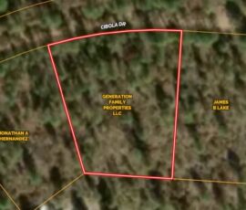 GIS parcel map showing the lot boundary on Cibola Drive, Timberon, NM — Otero County (APN 11O4069113167045)