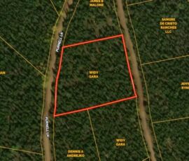 GIS parcel map showing both lots on Purnell Ln, Forbes Park, Costilla County CO
