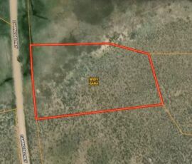 GIS parcel map showing Lot 769 outlined on Camino del Rey, Baca Grande Grants, Saguache County, APN 460324300062
