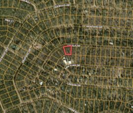GIS aerial map showing the lot location within the Timberon subdivision, Otero County, NM (APN 11O4069113167045)