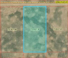 GIS parcel map showing APN 70302130, Costilla County CO
