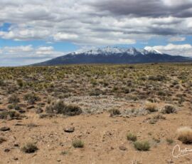 Blanca Peak (14,351 ft) rises over sagebrush and yucca on the property — Blanca, Costilla County, CO, APN 70302130