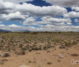 Open sagebrush terrain with scattered junipers and Sangre de Cristo mountains — Blanca, CO, APN 70302130