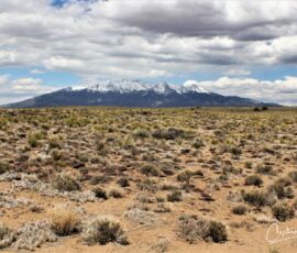 Blanca Peak framed above a field of yucca and sage on the property — Costilla County, CO, APN 70302130