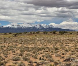 Mountain view with scattered juniper trees in the nearby landscape — San Luis Valley near Blanca, CO