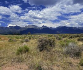 Ground-level native sagebrush and dry grasses with a panoramic close-up view of the Sangre de Cristo range, APN 460324300062