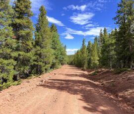 Red dirt road lined with tall pines through Forbes Park forest, Costilla CO, APNs 70131190 & 70131210