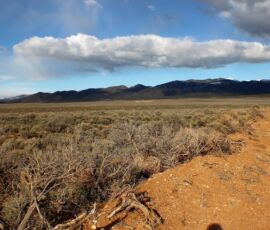 Area photo - red dirt access road through sagebrush with snow-capped mountains in the distance, San Luis Valley Ranches area, Costilla County CO