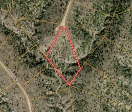 GIS satellite map showing Lot 4656, Sangre de Cristo Ranches Unit J-2, Costilla County, CO — parcel boundary outlined near Rodriguez Rd (placeholder; no ground photos available)