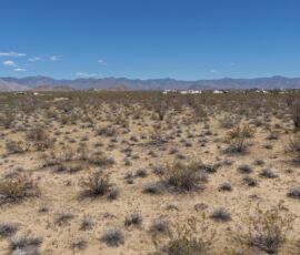 Open desert lot facing the Hualapai Mountains, Yucca AZ — APN 245-21-102