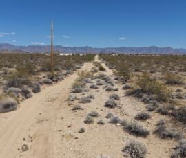 Ground-level view down the dirt road access with utility pole visible and Hualapai Mountains in the background, Yucca AZ