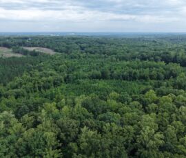 Aerial birds-eye south view over 16.99-acre wooded property, Reidsville NC (APNs 181763, 181764, 180667 Lot 1)