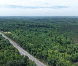 High aerial view north showing wooded acreage alongside NC 14, Reidsville NC — parcels 181763/181764/180667