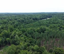 Low aerial west view showing mixed hardwood and pine timber across the property, Reidsville NC (APNs 181763, 181764, 180667 Lot 1)