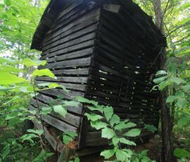 Old wooden outbuilding in the forest interior, Reidsville NC — parcels 181763/181764/180667