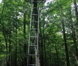 Tall ladder hunting stand mounted in the wooded interior, Reidsville NC (APNs 181763, 181764, 180667 Lot 1)