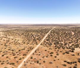 Drone view showing road access and scattered vegetation across the open parcel, Navajo County AZ — parcel 111-22-195