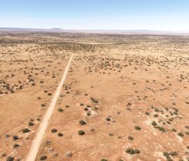 Drone view of the 38-acre parcel showing dirt road access and distant mesa on the horizon, Navajo County AZ — parcel 111-22-195