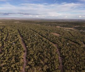 Aerial view looking south across the wooded Manzano Springs Estates area with long-range views over the Estancia Valley, Edgewood, NM — parcel R000982301