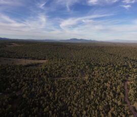 Drone aerial looking south over Manzano Springs Estates with the Manzano Mountain range rising prominently behind the piñon-juniper forest, Edgewood, NM — parcel R000982301