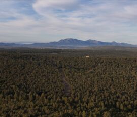 Wide aerial panorama with the mountain range visible on the horizon above the piñon forest and subdivision roads below, Edgewood, NM — parcel R000982301