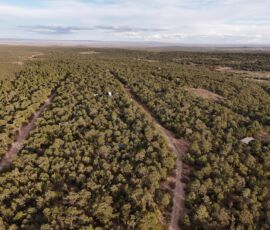 Low-altitude drone view of the wooded subdivision showing the dirt road layout and piñon-juniper lot pattern, Edgewood, NM — parcel R000982301