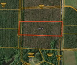 GIS parcel map of Lot 5, Carthage Pines Estates — 10.78-acre boundary highlighted on Glendon-Carthage Rd, Moore County NC